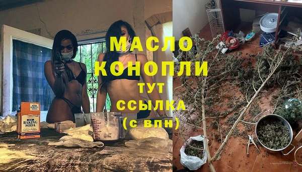 молекула духа Карпинск