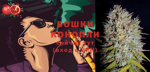 молекула духа Карпинск