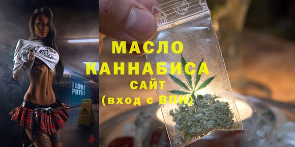 Альфа ПВП Каменка