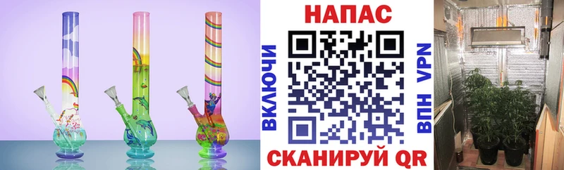 Купить где  Омск  Бошки марихуана ГИДРОПОН 